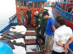 Tàu cá Quảng Ngãi bị tàu Trung Quốc đâm chìm ở Hoàng Sa: Các ngư dân gặp nạn giờ ra sao?