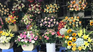 Sôi động thị trường hoa tươi dịp 8/3