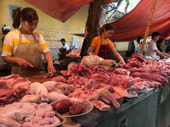 Video: Tẩy chay thịt lợn vì dịch tả châu Phi là vô lý