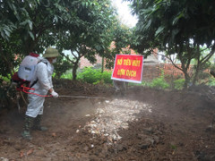 Dịch tả lợn Châu Phi đã lan ra 12 tỉnh, thành ở miền Bắc