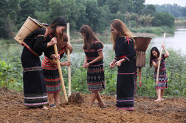 Video: Đồng bào dân tộc miền Trung, Tây Nguyên nhảy múa cầu bội thu trong lễ trỉa hạt