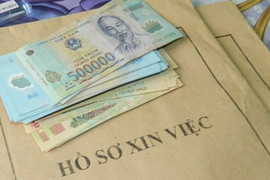 Ham mê cờ bạc, nữ giáo viên lừa đảo gần 4 tỷ đồng tiền chạy việc