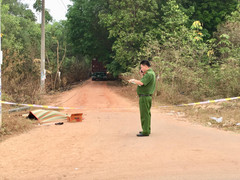 Đu theo container tông đổ cây xanh, bảo vệ khu đô thị đập đầu vào trụ điện chết thảm
