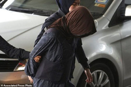 Bộ trưởng Tư pháp Việt Nam đề nghị Malaysia trả tự do cho Đoàn Thị Hương