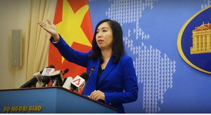 Phản ứng của Việt Nam trước các diễn biến trên đảo Thị Tứ thuộc quần đảo Trường Sa