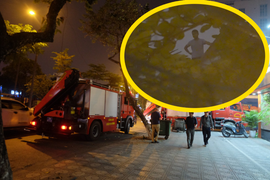 Video: Giải cứu trong đêm người đàn ông cố thủ trên nóc nhà hơn 8 giờ ở Hà Nội