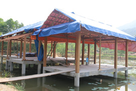 Khu nghỉ dưỡng mọc trái phép giữa rừng phòng hộ ở Quảng Nam: Kiểm điểm Bí thư Đoàn xã