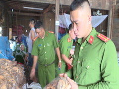 Video: Công an bắt quả tang những điểm sản xuất thuốc Amakong giả lừa khách du lịch