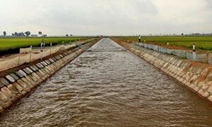 Tắm mương thủy lợi, 3 cháu nhỏ đuối nước thương tâm