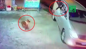 Clip: Đi ô tô, mang súng điện trộm chó trong 10 giây ngay trước cửa nhà