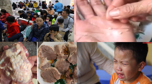 Hàng trăm trẻ bị nhiễm sán lợn ở Bắc Ninh được phát hiện thế nào?