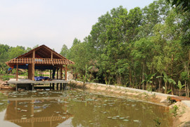 Khu nghỉ dưỡng mọc ‘chui’ giữa rừng phòng hộ: Lãnh đạo tỉnh Quảng Nam lên tiếng