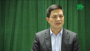 'Kết quả xét nghiệm dương tính chưa thể khẳng định trong người có sán lợn'