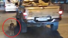 Clip: Bị bỏ rơi giữa đường, chú chó tuyệt vọng chạy theo xe chủ