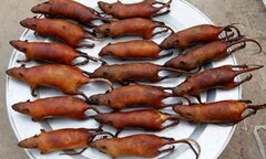 Báo Mỹ khen đặc sản thịt chuột Việt Nam 'ngon, như phô mai que'
