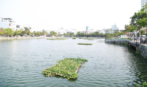 Đà Nẵng mời ông Dũng ‘lò vôi’ triển khai dự án xử lý ô nhiễm hồ Vĩnh Trung