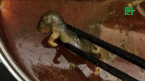 Tự bỏ chuột chết vào nồi lẩu, đòi nhà hàng bồi thường 17 tỷ đồng