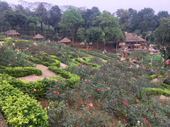 Ảnh: Ngỡ ngàng vẻ đẹp của thung lũng hoa hồng lớn nhất Việt Nam