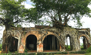 Kỳ bí ngôi đình cổ trong lòng cây bồ đề độc nhất vô nhị ở Việt Nam