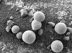 Tiết lộ chấn động về sự sống trên sao Hỏa: Tảo, địa y và nấm đang phát triển trên hành tinh này?