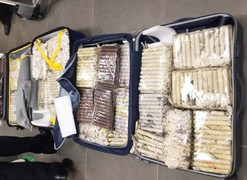 Nữ du khách chuyển lậu hơn 3.000 điếu xì gà từ Cuba về Đà Nẵng