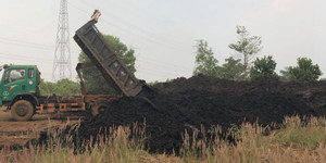 Thâm nhập bãi tập kết hàng nghìn tấn than bùn khai thác trái phép ở Đắk Nông