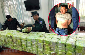 Bắt kẻ cầm đầu đường dây mua bán hơn 570kg ma túy ở TP.HCM