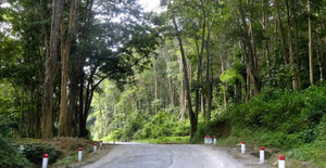 Ban quản lý rừng phòng hộ ở Nghệ An lập dự án 'ma' rút tiền Nhà nước