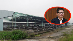 Con trai ông Trần Bắc Hà bị khởi tố: Có liên quan đến sai phạm Cảng Quy Nhơn?