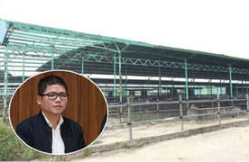 Vì sao con trai ông Trần Bắc Hà bị khởi tố, bắt tạm giam?