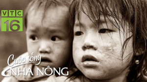 Câu chuyện buồn ở 'bản vắng mẹ': Những đứa trẻ phải bỏ học để mưu sinh, thay bố mẹ chăm đàn em