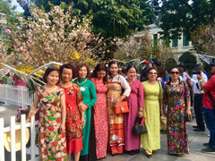 Ảnh: Nghìn người nô nức đổ về phố đi bộ Hà Nội tham gia Lễ hội hoa anh đào