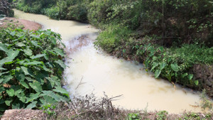 Tìm ra doanh nghiệp xả hàng nghìn m3 nước vàng đục, bốc mùi thuốc sâu ra sông ở Đà Nẵng