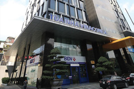 Vinaconex đòi bồi thường 1.236 tỷ đồng do cổ phiếu giảm sàn