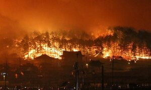 Cháy rừng lớn ở miền Bắc Hàn Quốc về cơ bản được khống chế