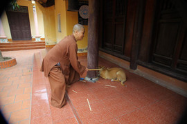 Video: Sư thầy chùa Sùng Quang lên tiếng về clip nghi đánh đập trẻ em