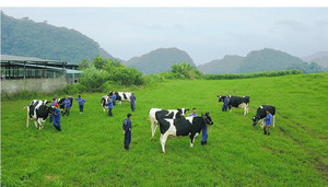 Vinamilk sắp chi hơn 1.500 tỷ đồng 'thâu tóm' sữa Mộc Châu