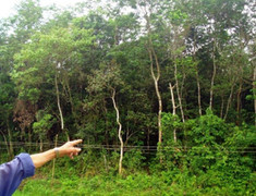 Xô xát khi tranh chấp đất rừng, 6 người bị thương