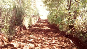 Chính quyền hứa mãi không làm, người đàn ông tự tay mở đường và kết quả kinh ngạc