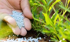Phân bón Bình Điền tiếp tục trượt dốc