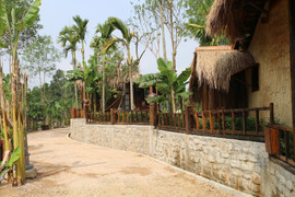 Khu nghỉ dưỡng mọc ‘chui’ giữa rừng phòng hộ: Xuất hiện tình tiết bất ngờ