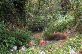 Chạy trốn khi công an vây ráp trường gà, một thanh niên chết trong rừng