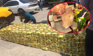 Video, ảnh: Toàn cảnh triệt phá đường dây vận chuyển hơn 1,1 tấn ma tuý ở TP.HCM