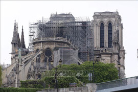 Tranh quý sau hoả hoạn Nhà thờ Đức Bà Paris sẽ được phục chế và lưu trữ