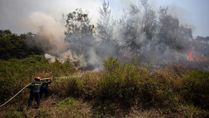 Cháy rừng ở Khu Bảo tồn thiên nhiên bán đảo Sơn Trà