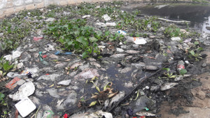 Cá chết trắng kênh bốc mùi hôi khủng khiếp, người Đà Nẵng đóng kín cửa nhà