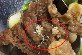 Phát hiện ổ giòi trong khẩu phần ăn của công nhân ở Nghệ An