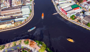 Video: Cá nuôi chết hàng loạt khi dòng sông chuyển màu đen ở miền Tây