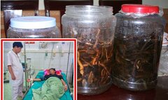Uống rượu ngâm củ ấu tẩu, 2 người đàn ông suýt mất mạng