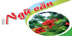 Giáo viên hướng dẫn ôn thi môn Ngữ văn giai đoạn ‘nước rút’